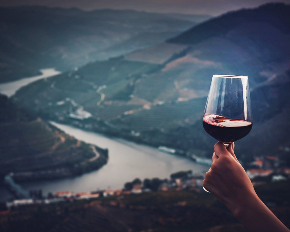 Rotwein in einem Weingebiet